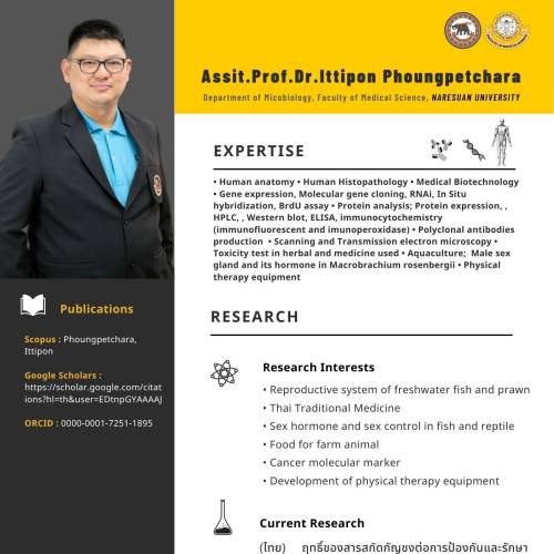 Assit.Prof.Dr.Ittipon Phoungphetchara
