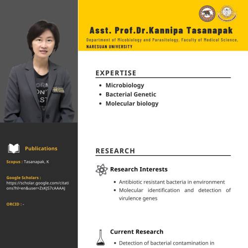 researcher
