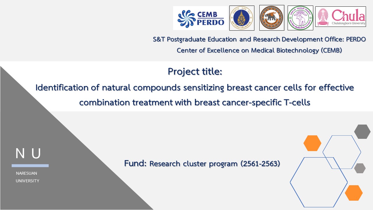 Identification of natural compounds sensitizing breast cancer cells for effective combination treatment with breast cancer-specific T-cells โดย ดร.ศศิประภา ขุนชัย และทีมวิจัย