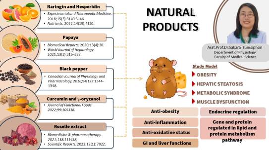NATURAL  PRODUCTS Study Model  OBESITY, HEPATIC STEATOSIS, METABOLIC SYNDROME, MUSCLE DYSFUNCTION โดย ผศ.ดร.สะการะ ตันโสภณ