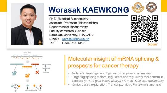 Molecular insight of mRNA splicing & prospects for cancer therapy   โดย รศ.ดร.วรศักดิ์ แก้วก่อง
