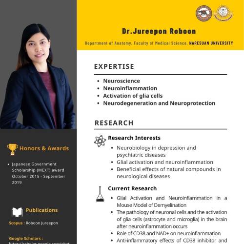 Researcher_anatomy
